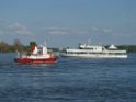 Motor Segelboot mit Motorschaden trieb gegen Alte Liebe bei Koeln Rodenkirchen P109